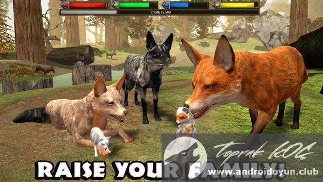 Ultimate Fox Simulator