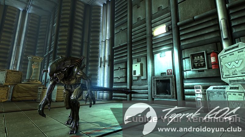 download avp android