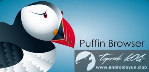 Puffin tv browser для андроид тв просит денег